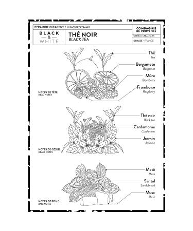 Compagnie de Provence Black Tea Liquid Soap - 16.9 Fl Oz Glass Pump Bottle - Buy Online on GoSupps.com