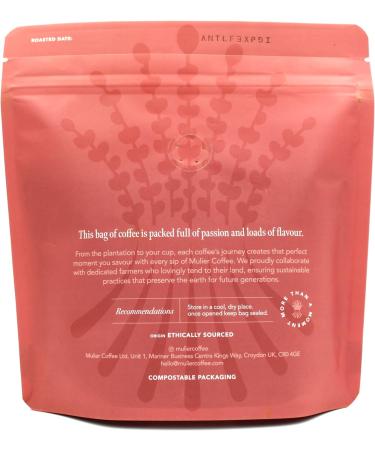 Dear Donna | Brazilian Speciality Whole Bean Coffee | Expresso Cafetiere Filter | Suitable for Milk Coffee | Sweet with notes of Orange and milk chocolate | 250 gr - Buy Online on GoSupps.com