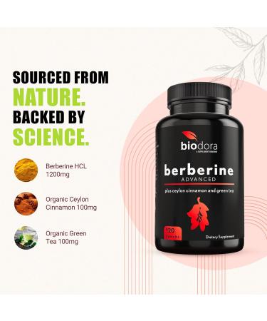 Biodora Berberine Advanced Plus with 1200mg Berberine - 100mg Ceylon Cinnamon and 100mg Green Tea Extract - 1400mg Per Dose -120 Capsules - 60 Day Supply - Supports Immune and Cardiovascular - Buy Online on GoSupps.com