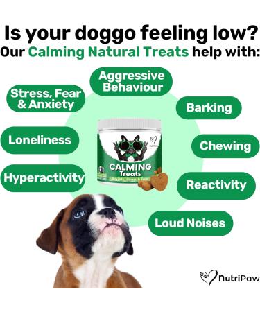 NutriPaw Calming Treats For Dogs - Reduce Stress Fear Separation Anxiety Barking Hyperactivity Reactivity Aggression Travel Issues - Relaxation without Drowsiness dogs Single Pack - Buy Online on GoSupps.com