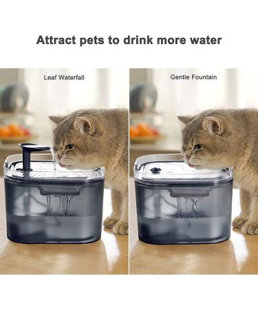Petory Cat Water Fountain - Automatic 2.2L Pet Water Dispenser with Filters | BPA-Free Grey Fountain for Cats | 2 Flow Modes - Buy Online on GoSupps.com