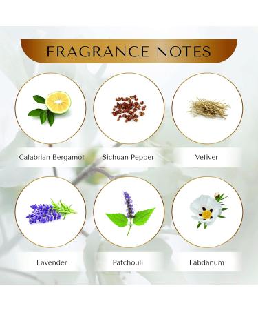 Prince Inspired from Di-or Sauvage Discover - Eau De Parfum Spray - Perfume for Men - Luxury Perfume - 100 ml/3.4 fl. oz - Buy Online on GoSupps.com