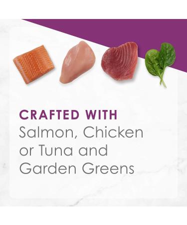 Fancy Feast P t & Florentine Wet Cat Food Bundle (24 Tubs + 12 Cans) Wet Cat Food + Wet Cat Florentine Food - Buy Online on GoSupps.com