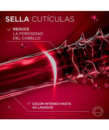  L'Oreal Paris L'Or al Paris Elvive Color Vive 2-pack of protective shampoos for color-treated hair 1 L - Buy Online on GoSupps.com