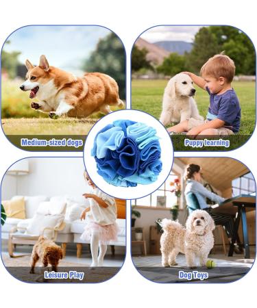 Interactive Sniffing Ball for Dogs | Washable Smell Training Toy | Stress Relief & Intelligence Game for Small & Medium Dogs - 20cm Colorful - Buy Online on GoSupps.com
