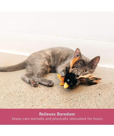 Pet Craft Supply Cat Toys 2 Pack - Interactive and Durable - Buy Online on GoSupps.com