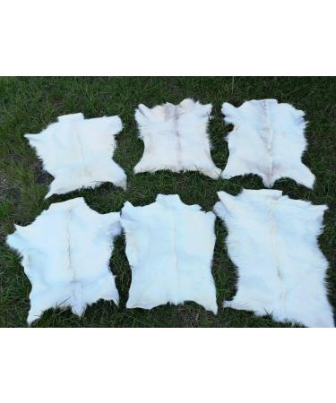 Provellus Goatskins Goat Fur No Odour Top Tanning Natural Bargain (Light Unit Price 50-70 cm)