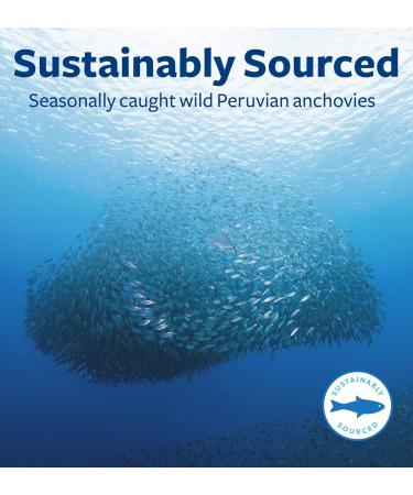 Omega 7 Supplement for Women and Men - High Potency & Purity Palmitoleic Acid Fatty Acid Fish Oil Supplement from Patented Provinal with Lowest Palmitic Acid - Sustainably Sourced (1 Month Supply) 30 Count (Pack of 1) - Buy Online on GoSupps.com