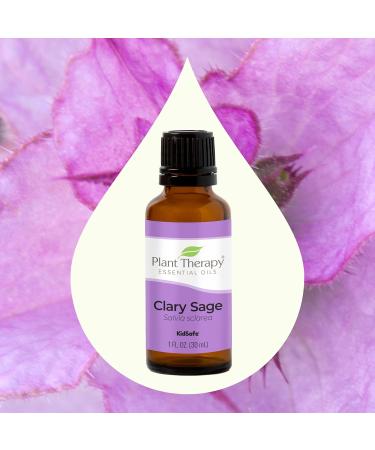 Buy Plant Therapy Clary Sage Essential Oil 100% Pure - Natural Aromatherapy Therapeutic Grade 30 mL for International Shipping - Buy Online on GoSupps.com