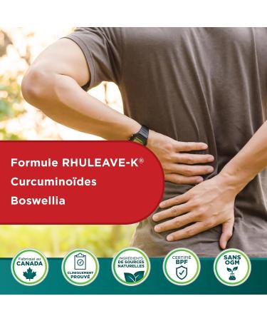 Genacol Fast Action | Fast Relief of Back Pain and Muscle Pain | Turmeric Curcumin Black Sesame Seed Oil and Boswellia | Plant-Based Softgels (60 Softgels) 1 count (Pack of 60) - Buy Online on GoSupps.com