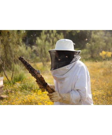 Mielinizate Rosemary Honey 130g - Buy Online on GoSupps.com