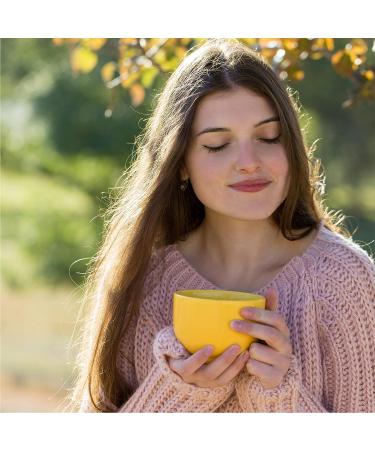 BHI Flu + Cold Multi-Symptom Relief - Natural Non-Drowsy Remedy with 11 Homeopathic Active Ingredients - 100 Tablets - Buy Online on GoSupps.com