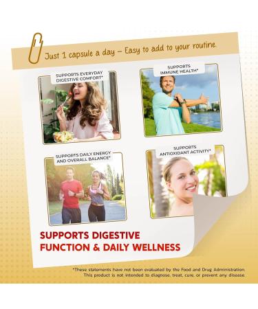 Goldenseal Root Echinacea Cinnamon Elderberry - All-in-1 Supplement 150 count (pack of 1) - Buy Online on GoSupps.com