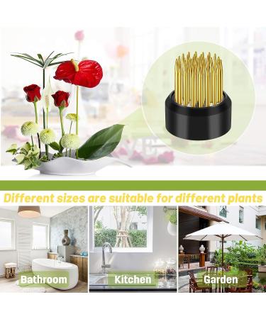 3-Piece Round Gold Floral Arranger Pins for Flower Arrangement & Plant Fixation - Buy Online on GoSupps.com