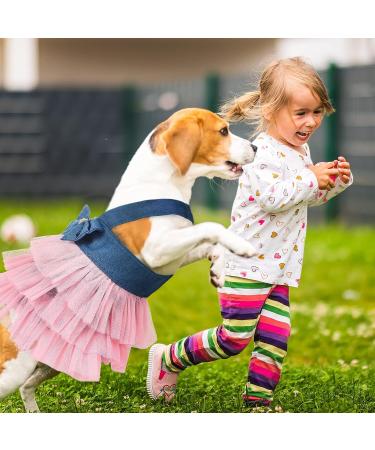 Dazzling 3-Piece Dog Tutu Dress Set for Medium-Sized Pets - Perfect for Thanksgiving and Christmas! (XX-Large) - Buy Online on GoSupps.com
