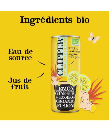 CLIPPER - Organic Refreshing Drink - Fusion Lemon Ginger Rooibos - No added sugar - 25cl x 12 - Buy Online on GoSupps.com