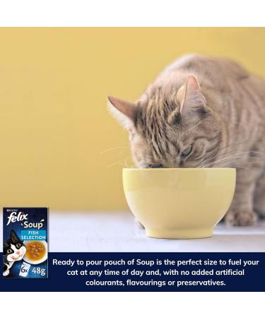 Felix Soup Cat Food Bundle Containing Farm and Fish Selection 48g x24 | Cat Treats 60g x2 | Silvervine Sticks - Buy Online on GoSupps.com