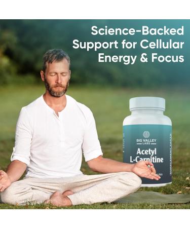 Big Valley Labs Acetyl-L-Carnitine 500 mg Highly Bioavailable ALCAR for Cellular Energy & Wellness Vegan Non-GMO Gluten-Free 60 Veg Capsules - Buy Online on GoSupps.com