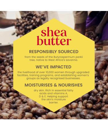 Burt's Bees Hand Cream with Shea Butter - Orange Blossom & Pistachio 28.3g Tube | Moisturizing & Nourishing Solution - Buy Online on GoSupps.com