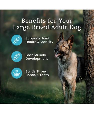 Blue Buffalo Wilderness More Meat & Wholesome Grains Natural Dry Dog Food Large Breed Salmon 24lb Large Breed Salmon More Meat Wholesome Grains - Buy Online on GoSupps.com