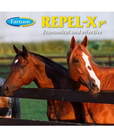 Farnam 10330 X Insecticide & Repellent for Horses and Dogs - 32oz - Buy Online on GoSupps.com