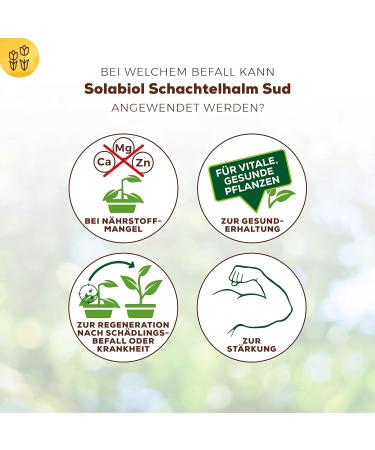 Solabiol Schachtelhalm Sud - Biological Plant Strengthener for Mushrooms | 1L Eco-Friendly Solution - Buy Online on GoSupps.com