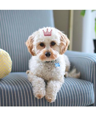 Buy Hayaww 5 PCs Dog Hairpins & Clips - Pink Pet Accessories for Small Dogs & Cats - Buy Online on GoSupps.com