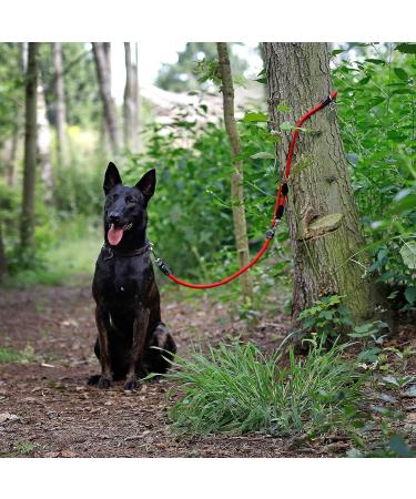 Buy Lionto Adjustable Dog Leash - Multifunctional Weatherproof 200 cm Red | Perfect for Medium Dogs - Shop Internationally! - Buy Online on GoSupps.com