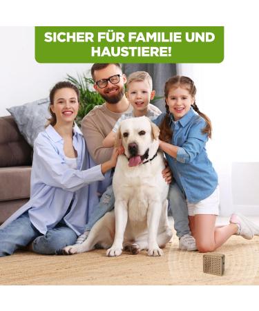 ISOTRONIC Mouse Defense: Ultrasonic Pest Control in Wooden Housing | Chemical-Free Rat Repellent for Home Basement & Garden | 3-Piece Set - Buy Online on GoSupps.com