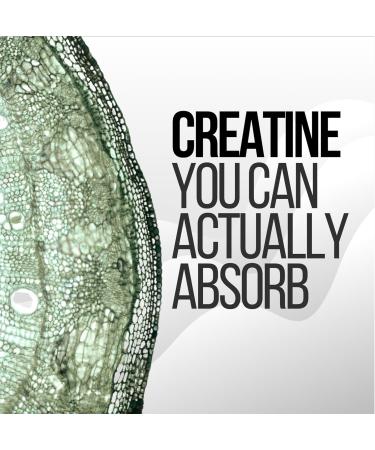 Buy Creatine Pills HCL (Hydrochloride) - 150 High-Quality Capsules for Enhanced Performance | International Shipping Available - Buy Online on GoSupps.com