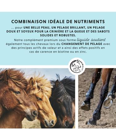Horse Biotin Zinc Liquid 1000 ML - Skin Hair and Hoof Care for Horses - Biotin Zinc and MSM Liquid for a Healthy Coat - Coat and Hoof Care for Horses - Buy Online on GoSupps.com