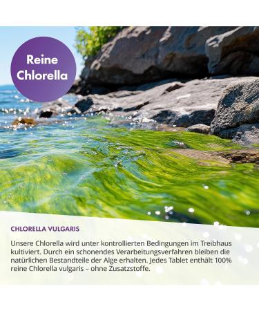 100 % Chlorella Vulgaris 1000 comprim s 500 mg d'algue par presslinge sans additifs hautement dos v g talien 5000 mg de chlorella 112 5 mg de chlorophylle 20 mg de carotiniode par - Buy Online on GoSupps.com