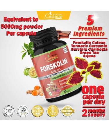 Organic Forskolin Extract 5000MG Capsules with Turmeric, Arjuna, Garcinia Cambogia & Green Tea - Maximum Strength India Supplements for Nourishing Diet & Energy Boost - Buy Online on GoSupps.com