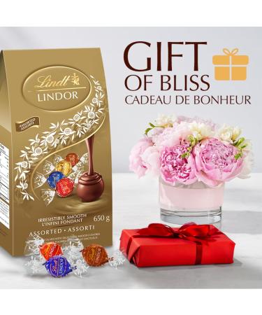 LINDT LINDOR Assorted Chocolate Truffles (Milk Chocolate White Chocolate Hazelnut Chocolate Dark Chocolate) Jumbo Bag 52 Count of Truffles 650g Bag Individually Wrapped Chocolate - Buy Online on GoSupps.com
