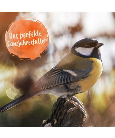 Ida Plus - Wheat-Free Bird Seed for Wild Birds - 4500g Winter Feed | Year-Round Optimal Mixture Fatty & Energy-Rich 3x1500g - Buy Online on GoSupps.com