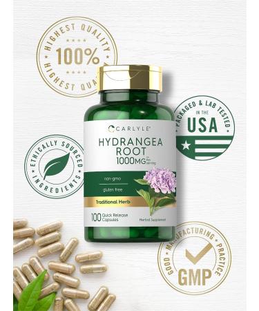 Carlyle Hydrangea Root Capsules 1000mg - 100 Count | Non-GMO Gluten-Free Extract - Buy Online on GoSupps.com