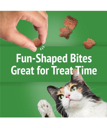 Friskies Party Mix Cat Treats Gravy-licious Crunch Turkey and Gravy - 454 g Cannister (1 Pack) 454 g (Pack of 1) - Buy Online on GoSupps.com