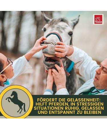Magnesium Horse Powder - Calm Horse Relax Anti-Stress to Calm Agitation I L-tryptophan Vitamin E - Magnesium for Horses in High Dose Against Anxiety & Stress Serenity Nervous Horse 1kg - Buy Online on GoSupps.com