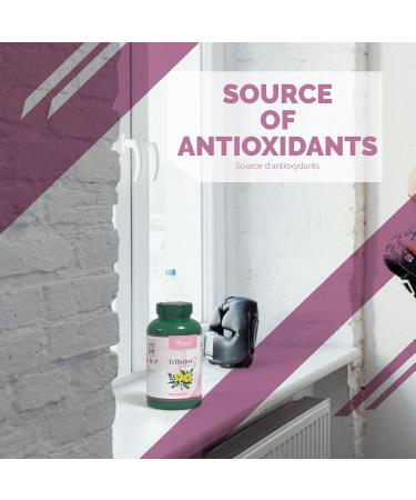 VORST Tribulus Terrestris Extract for Women 3 x 180 Vegan Capsules | 3 Bottles 540 count (Pack of 1) - Buy Online on GoSupps.com