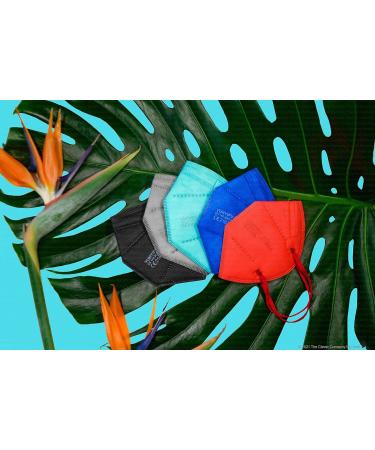 Buy Promedicalcare Mundship FFP2 Colored Masks - 10 Pack Red | High-Quality Mouth Protection for Safe Breathing - Buy Online on GoSupps.com