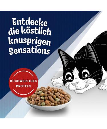 FELIX Farmhouse Sensations Dry Cat Food with Chicken & Turkey - 1kg Pack | International Shipping Available - Buy Online on GoSupps.com