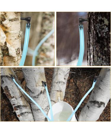 Maple Syrup Tree Tapping Kit 12 Maple Syrup Taps+12 Maple Tree Tubes Maple syrup Taps Spile Kit Food Grade Plastic Maple Sap Tap with Drop Line Tubes for Maple Syrup Supplies Spring Winter - Buy Online on GoSupps.com