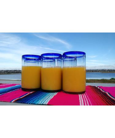 Set of 6 Hand Blown Mexican Drinking Glasses with Cobalt Blue Rims - 14 oz each - Buy Online on GoSupps.com