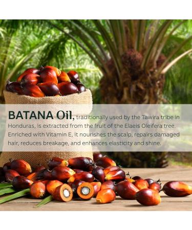 Organic Raw Batana Oil for Hair Growth | Prevent Hair Loss & Enhance Thickness | 100g - Dr. Sebi Approved - Buy Online on GoSupps.com