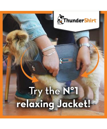 Thundershirt Classic Small Heather Grey Dog Anxiety Jacket | Calming Solution - Buy Online on GoSupps.com