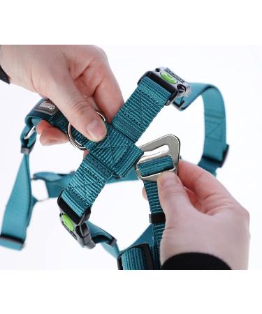 Kerbl 80045 Panic Harness Miami - Escape-Proof Design Petrol Color Adjustable 64-100cm | Shop Now for International Shipping - Buy Online on GoSupps.com