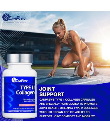 CanPrev - TYPE II Collagen Enhanced Formula for Joint Support 60 Capsules High Potency Collagen Peptides for Women & Men Non-GMO Supplements for Skin & Connective Tissue Nourishment - Buy Online on GoSupps.com