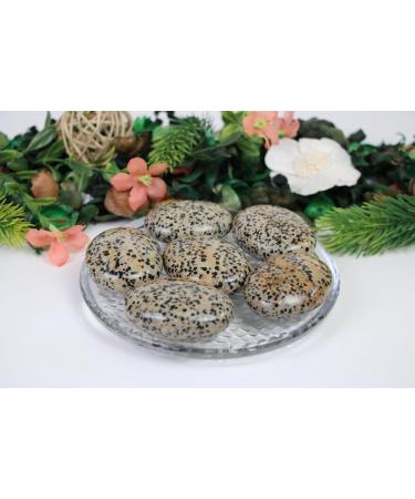 Buy Large Dalmatian Jasper Palm Stones - High-Quality Crystal Gemstones for Healing & Decor - Buy Online on GoSupps.com