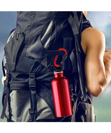 10 Pack Colorful Aluminum Carabiners with Screw Cap Gimars Key Riper Hooks for Camping Fishing Hiking & Traveling - Buy Online on GoSupps.com