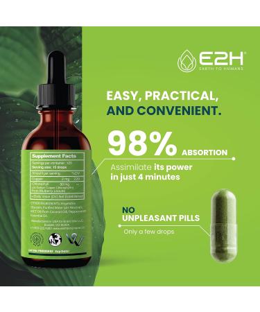 E2H Peppermint Liquid Chlorophyll - 2 Fl Oz | All Natural Formula - Buy Online on GoSupps.com